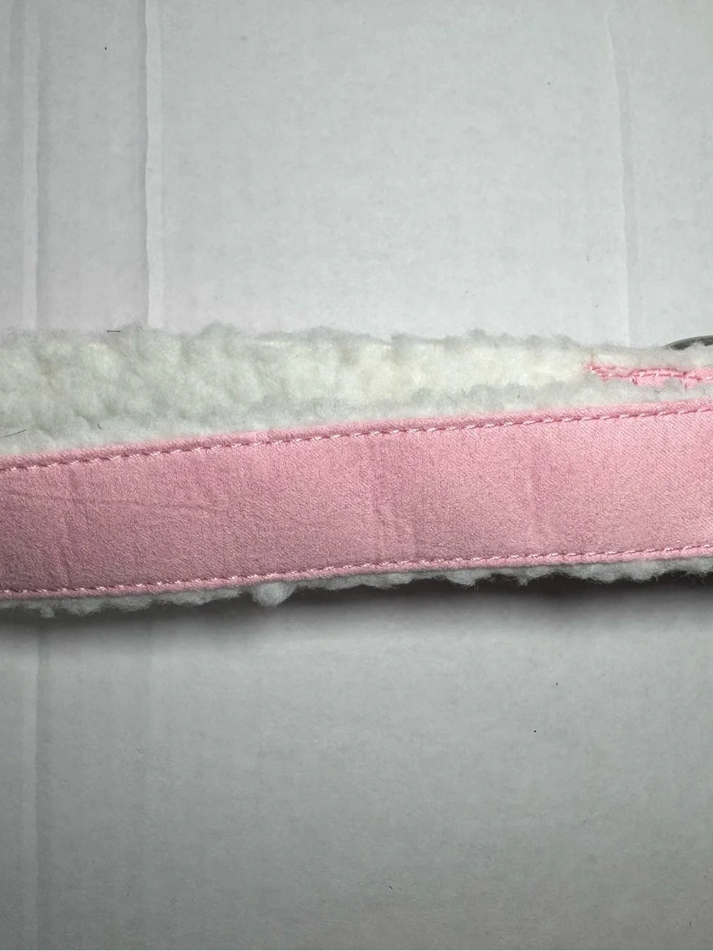 Dog Collar